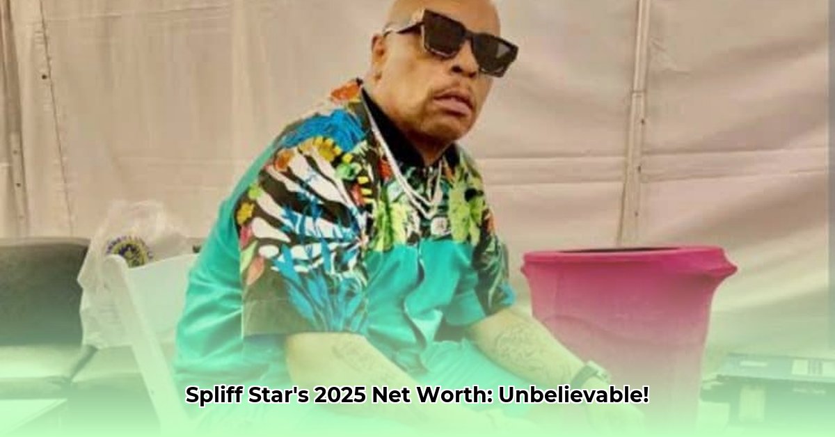 spliff-star-net-worth